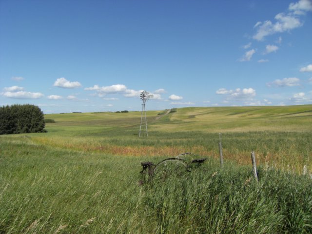 abandonedfarm.jpg