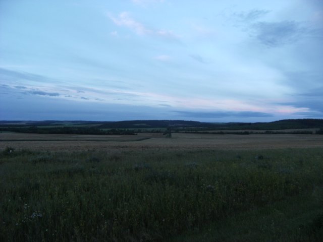 albertaprairie.jpg