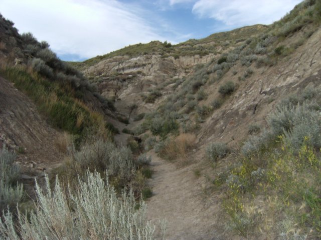 badlandsravine.jpg