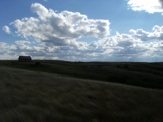 fieldandshed.jpg