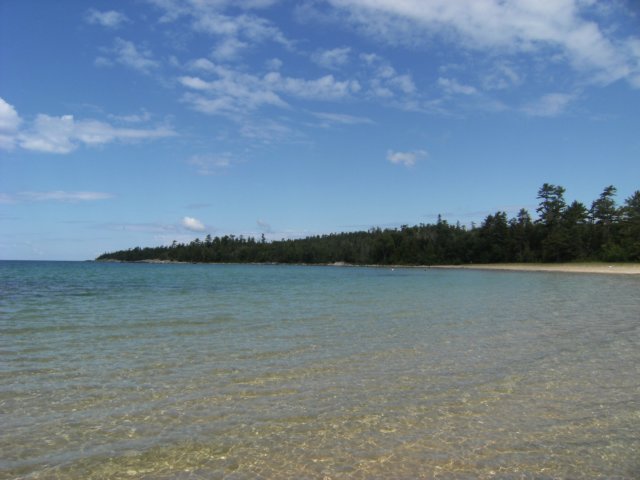 sandyshore.jpg