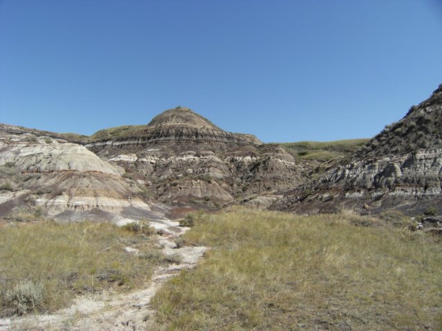 tyrellpath.jpg
