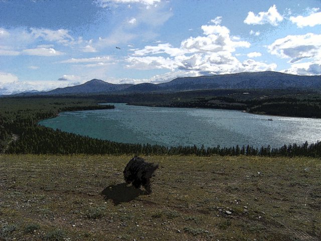 bellaaboveschwatcalake.jpg